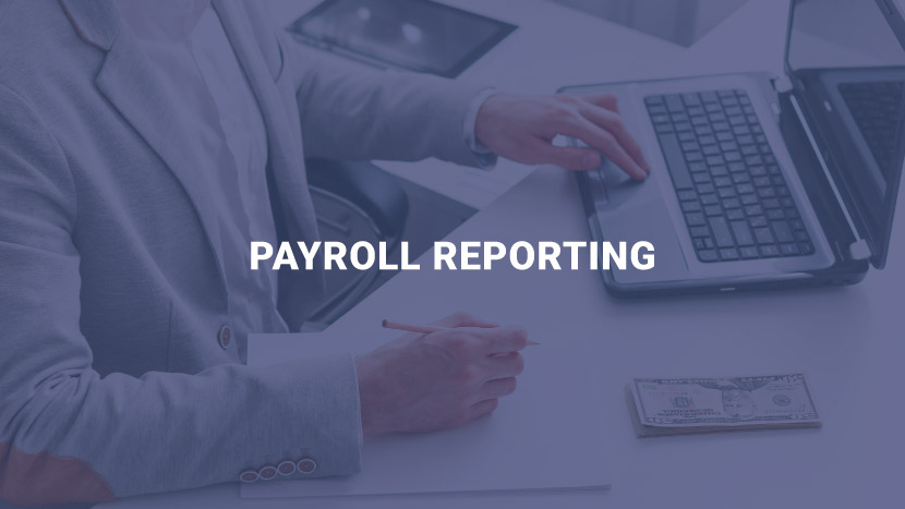 How can payroll reports help your business?